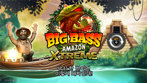 홀리데이 라이드