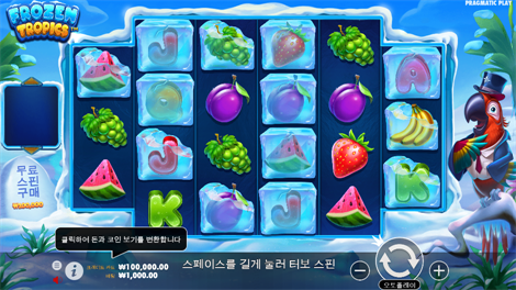 정글 고릴라