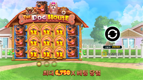 하키 리그 와일드 매치