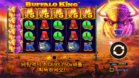 레이디 오브 더 문