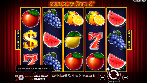 피라미드 킹